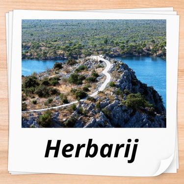 Herbarij
