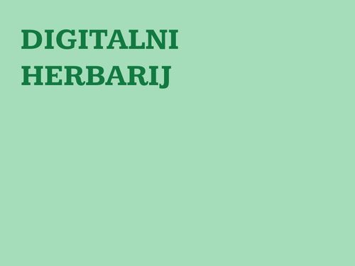 Herbarij