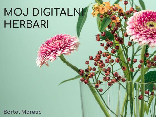herbarij